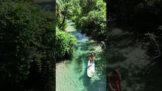 Tropical forest dream