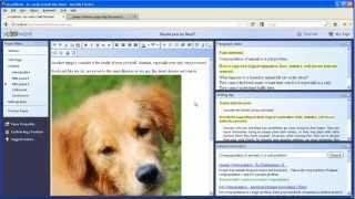 Advanced Editing - How to copy / paste an image on Firefox