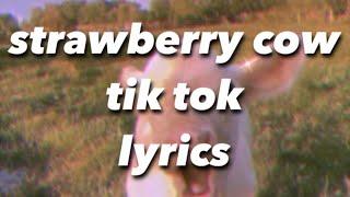 strawberry cow - look at you strawberry cow you make me go wow -  tik tok lyrics