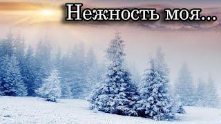 Премьера песни!!! Николай Джинчарадзе. Нежность моя... (написана до 2017 г.)