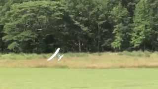 Wing Dragon 300 Rc Airplane Trainer