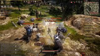 Black Desert OP Mystic