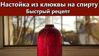 Настойка из клюквы на спирту быстрый рецепт