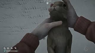 The Long Dark №10 Просто Выживание Без Комментариев