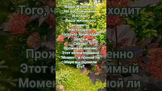 #позитив #мотивациянауспех #успех #мотивация