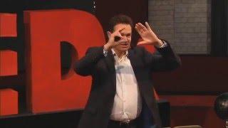 A Renaissance approach to innovation | David Green | TEDxIESEGParis