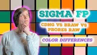 Sigma FP CDNG vs BRAW vs ProRes RAW - color difference