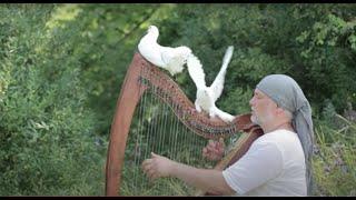 Alizbar/ Celtic harp/ Under white wings / Last fallen leaf / Кельтская арфа/ Relax Music /Meditation