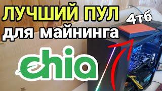 Новый пул для майнинга Chia / чиа. Обзор, настройки, преимущества