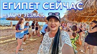 Египет 2024. Как ТУТ СЕЙЧАС⁉️Sunrise Remal Resort 4*. Шарм Эль Шейх. МОРЕ ВСЕ ВКЛЮЧЕНО РАЗВЛЕЧЕНИЯ