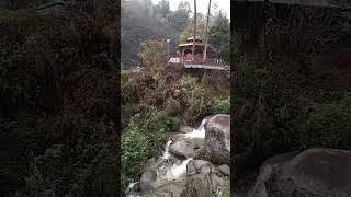 flow.   #sikkim #banjakri #gangtok #chinese #indian #solo #travel #temple