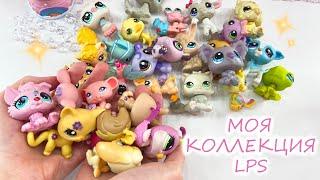 МОЯ КОЛЛЕКЦИЯ LPS / Мои Littlest Pet Shop Пет Шопы / Редкие петы, стоячки, кошки, собаки, мышки