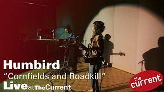 Humbird performing "Cornfields and Roadkill" at The Current for Radio Heartland