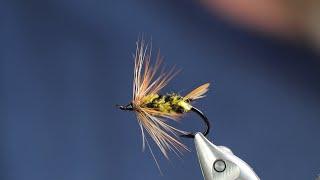 A Classic steelhead fly. The Brindle Bug. #flyfishing #flytying #steelheadfishing