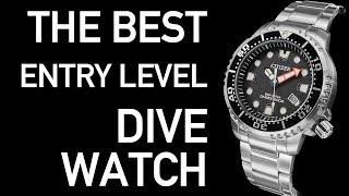 What is the BEST Entry Level Dive Watch | Citizen Promaster Diver BN0150 Review