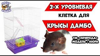 ТРЕХУРОВНЕВАЯ КЛЕТКА ДЛЯ КРЫСЫ ДАМБО ТМ "ПРИРОДА" НЮРА / ОБЗОР КЛЕТКИ / РАЗМЕРЫ КЛЕТКИ ДЛЯ КРЫСЫ