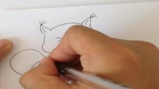 Уроки рисования, Как нарисовать белку, Drawing lessons, how to draw a squirrel