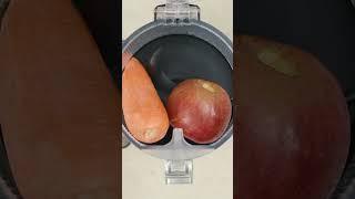 Estrattore di succo H-70