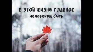 специальный репортаж запретный плод 2016 03 14 SATRip www Riper AM