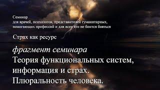 Теория функциональных систем, информация и страх. Плюральность человека