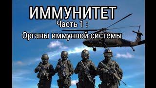 Иммунитет. Часть 1 : Органы иммунной системы