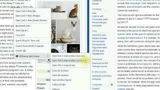 Browser extension: Efficiency Split Screen (version 1.1.7)