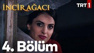 İncir Ağacı 4. Bölüm