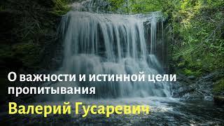 О важности и истинной цели пропитывания. Валерий Гусаревич.