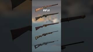 Rifle Variants in The Long Dark