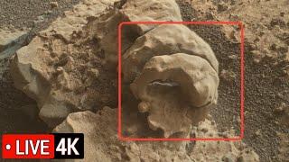 NASA Curiosity Rover Sends Stunning New Mars Images! Perseverance Rover Reveals Mars Secrets