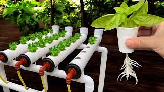 How to make hydroponic system at home