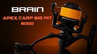 Brain Apex Carp Big Pit. Потужна котушка для ловлі коропа