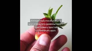 В холодильнике клубника становится невкусной: храните ягоды так – и они станут слаще