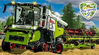 Endlich ERNTE: Claas TRION im Einsatz True Farming 2 #502 | LS22