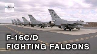 F-16C/D Fighting Falcons in Exercise CORONET WHITE 14-01