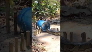 Amazing DIY big Snake Trap using big pvc #creativesnaketrap#buildsnaketrap