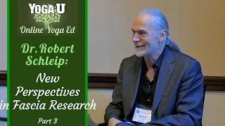 Dr. Robert Schleip Interview Part 3 | Yoga, Fascia and the Mechanics of Soft Tissue Healing