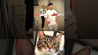 fast reflex  #cat #meme #funny #trending