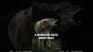 5 Fascinating Facts About Wolves You Didn't Know!24#wolves #nature #wildlife3DD090#ecosystem #leader