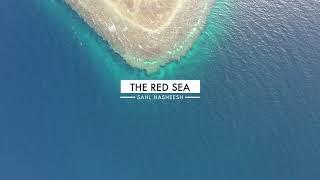 Experience The Red Sea (EP:2) Abu Hasheesh Island, Sahl Hasheesh