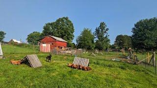 June BARN OPENING! _ Homestead Updates! // Whitt Acres