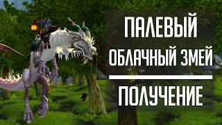 ПАЛЕВЫЙ ОБЛАЧНЫЙ ЗМЕЙ - гайд по получению маунта за Лассо клана Цзань-Тень в Battle for Azeroth!