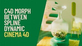 C4D Morph Between Spline Dynamic - Cinema 4D Tutorial