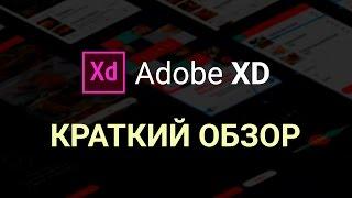 Adobe XD [Краткий обзор]