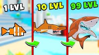 ЭВОЛЮЦИЯ АКУЛЫ  ОТ НУБА ДО ПРО В РОБЛОКС  ▶ Shark Evolution Simulator Roblox