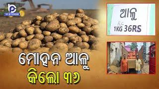 Potato Per Kg Price in Odisha Rs 36 | Potato Stock Reaches Odisha | Odisha Food Supplies Department