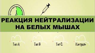 Развернутая реакция нейтрализации на белых мышах