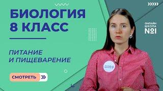 Питание и пищеварение. Видеоурок 21. Биология 8 класс