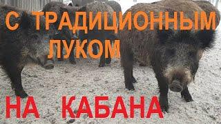 Охота с традиционным луком на кабана. Поймать и сожрать!