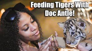 Eazy-E's Daughter Feeds Tigers with Doc Antle | Myrtle Beach Safari